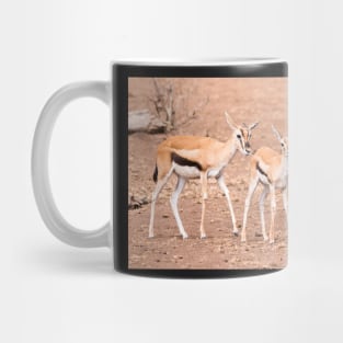 Thomson's Gazelle (Serengeti) #1 Mug